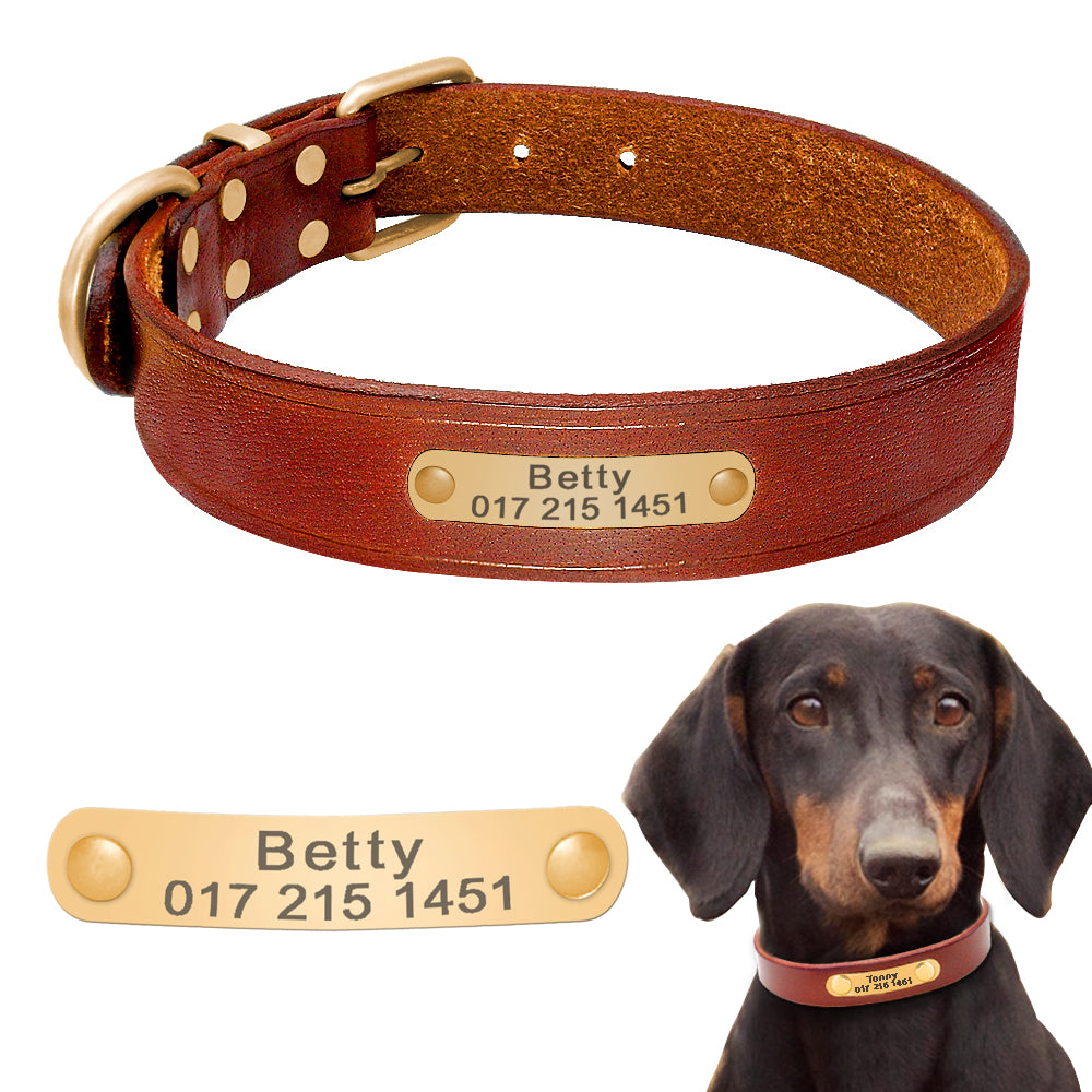 Chic Leather Dog Collars with Custom Tags