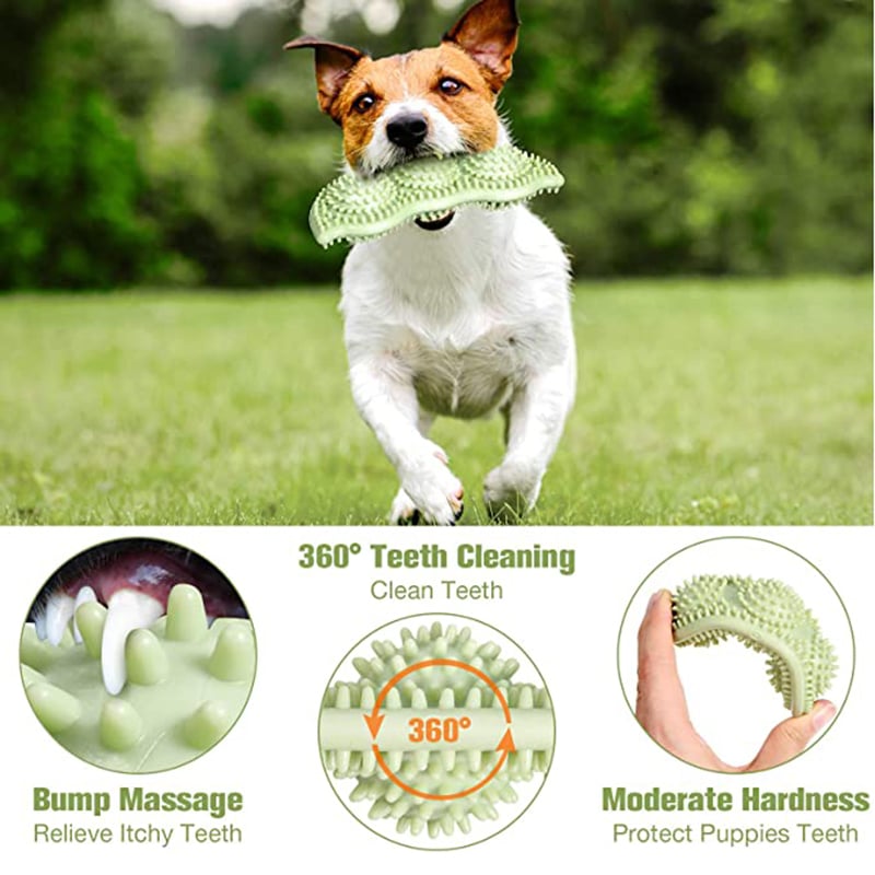 ChewPal Tough Interactive Dog Toy