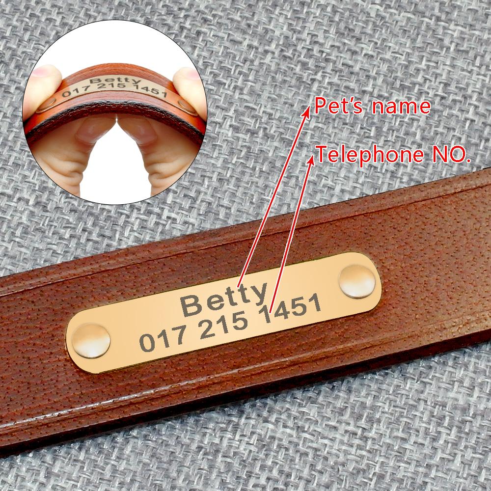 Chic Leather Dog Collars with Custom Tags