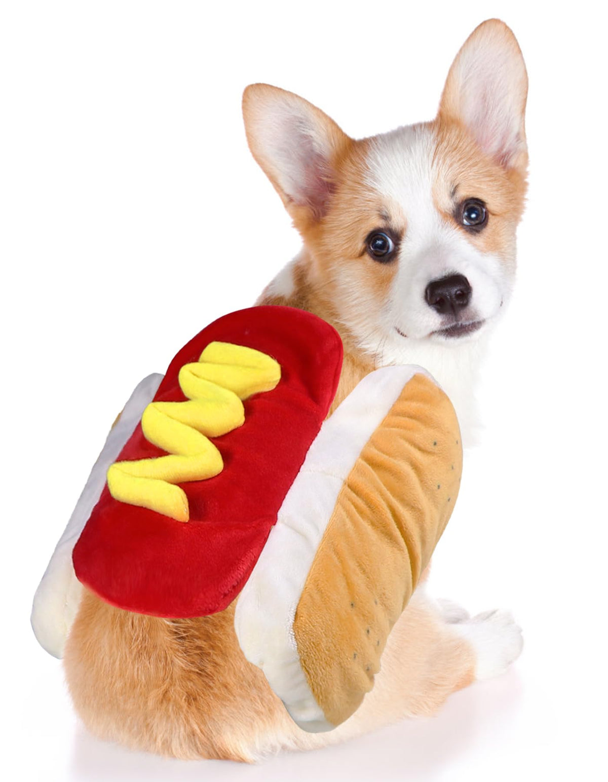 Pup-a-Roni Hot Dog Costume