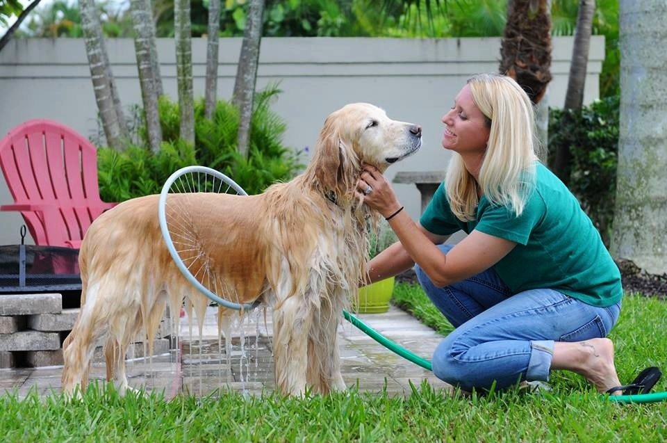 Puppy Shower Ring