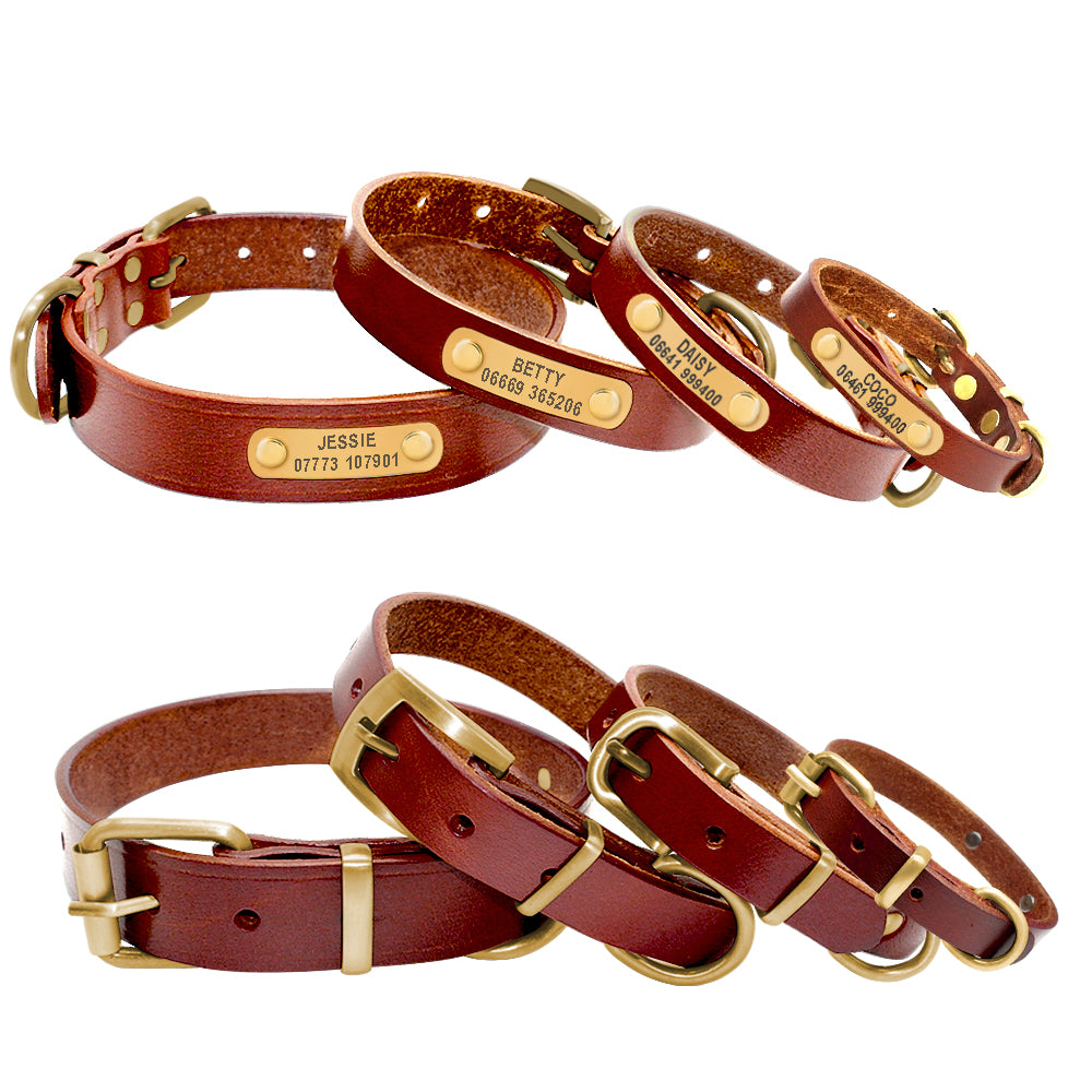 Chic Leather Dog Collars with Custom Tags