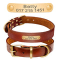 Chic Leather Dog Collars with Custom Tags