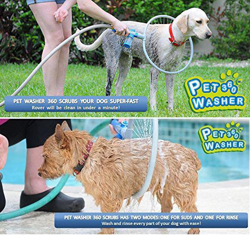 Puppy Shower Ring